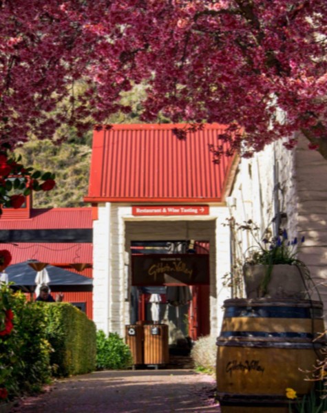 Wine Vault Gibbston Valley Winery Queenstown New Zealand